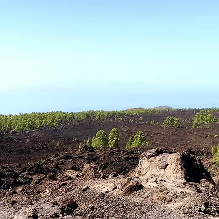 Lovely Sunny * Costa Adeje (Tenerife)