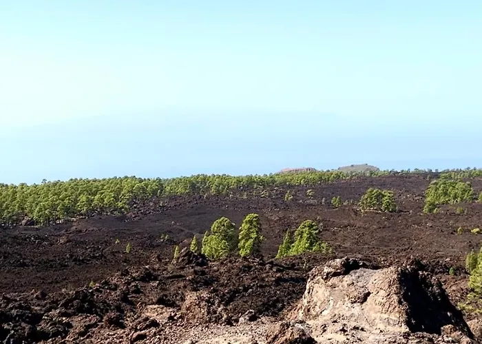 Lovely Sunny * Costa Adeje (Tenerife)