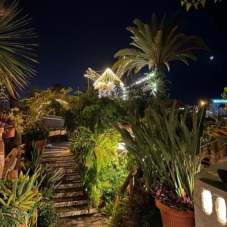 Lovely Sunny Адехе